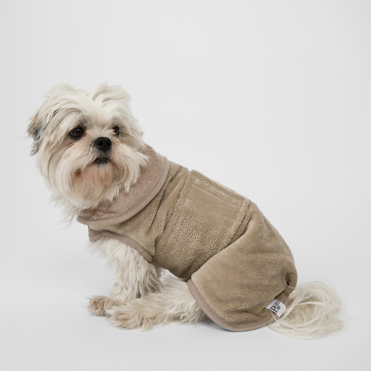 Shih tzu wearing a sand bamboo drying robe