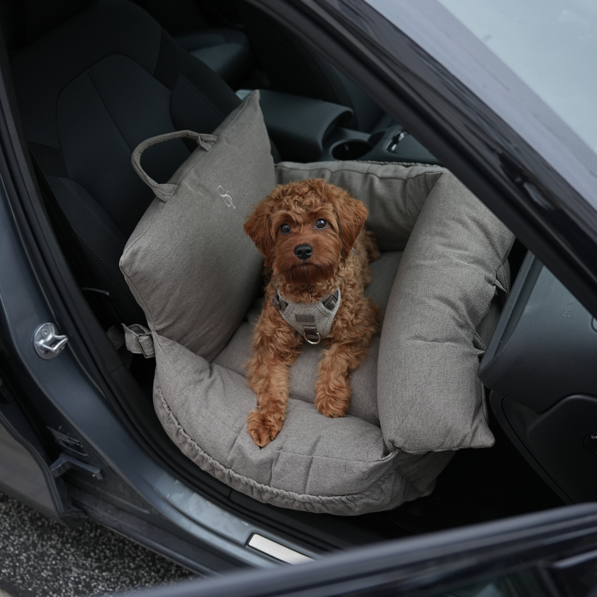 Car Seats
