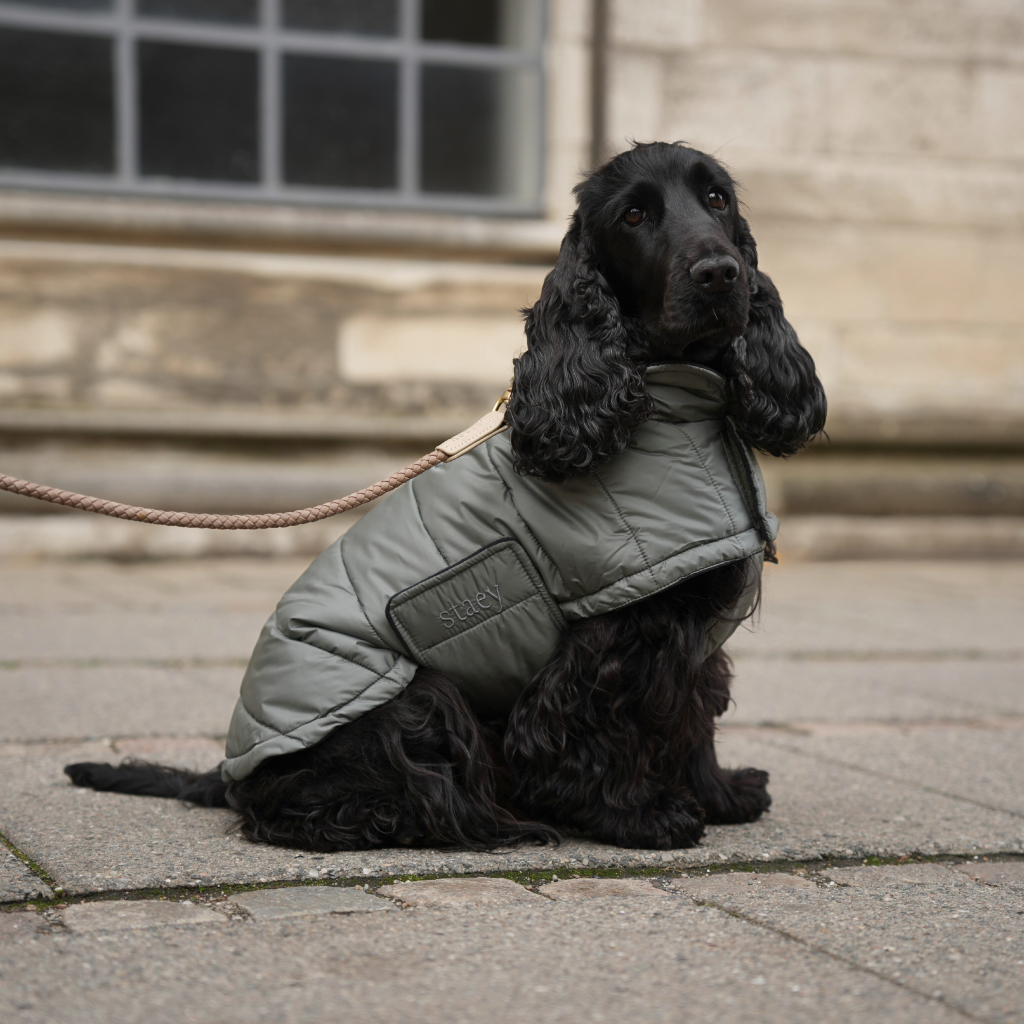 Manteau pour chien Nora | Moss green