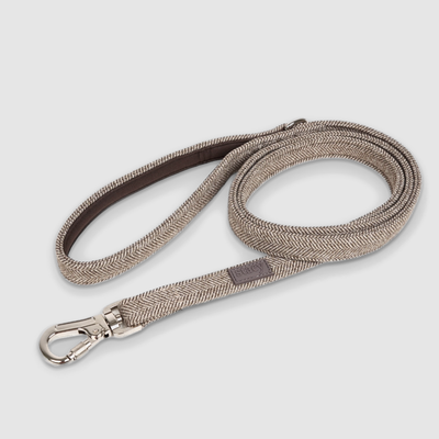 Dog Collars & Leashes