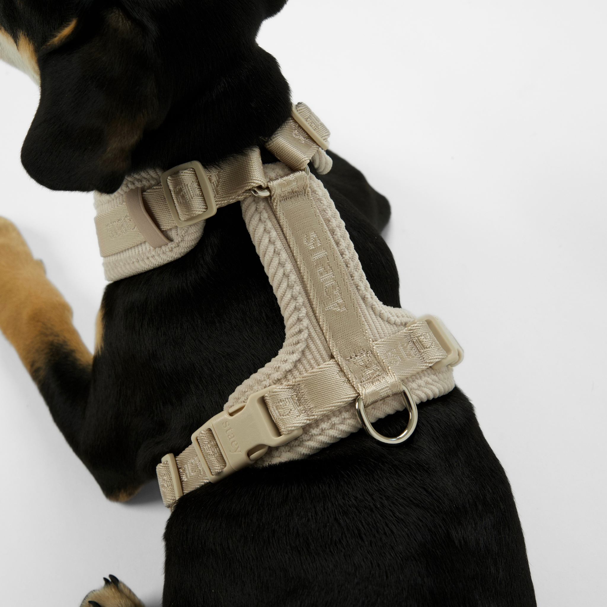 Harnais pour chien Numa | Oat
