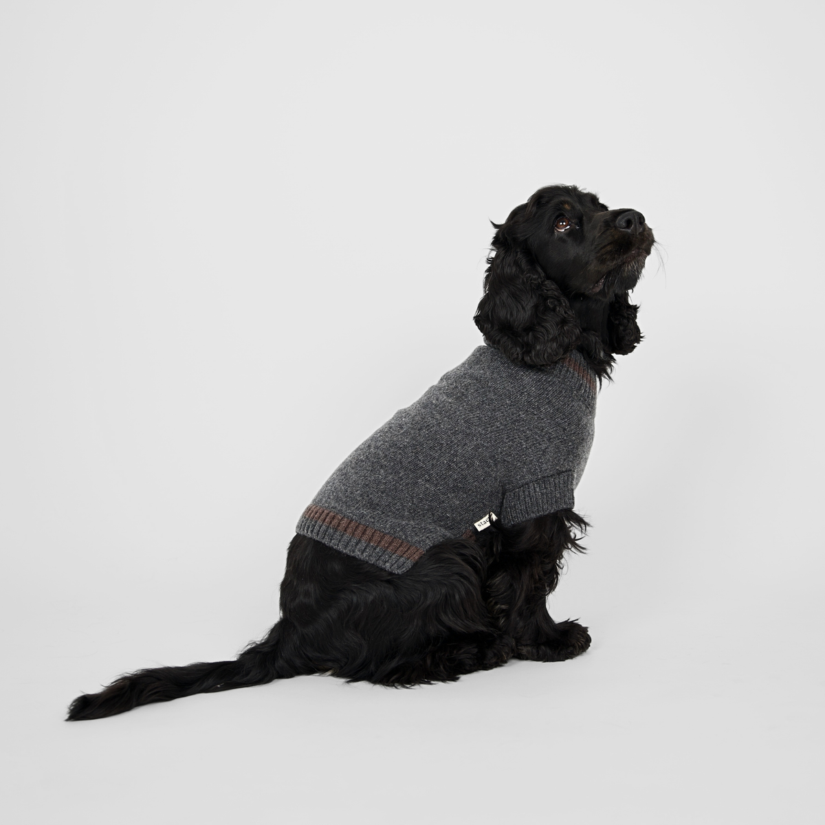 Pull pour chien Ellen | Storm/Espresso