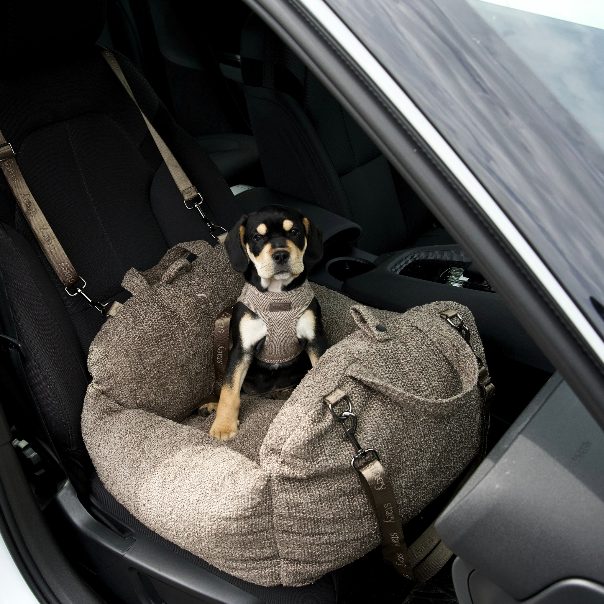 Siège auto 2-en-1 pour chien Tova | Chestnut Bouclé