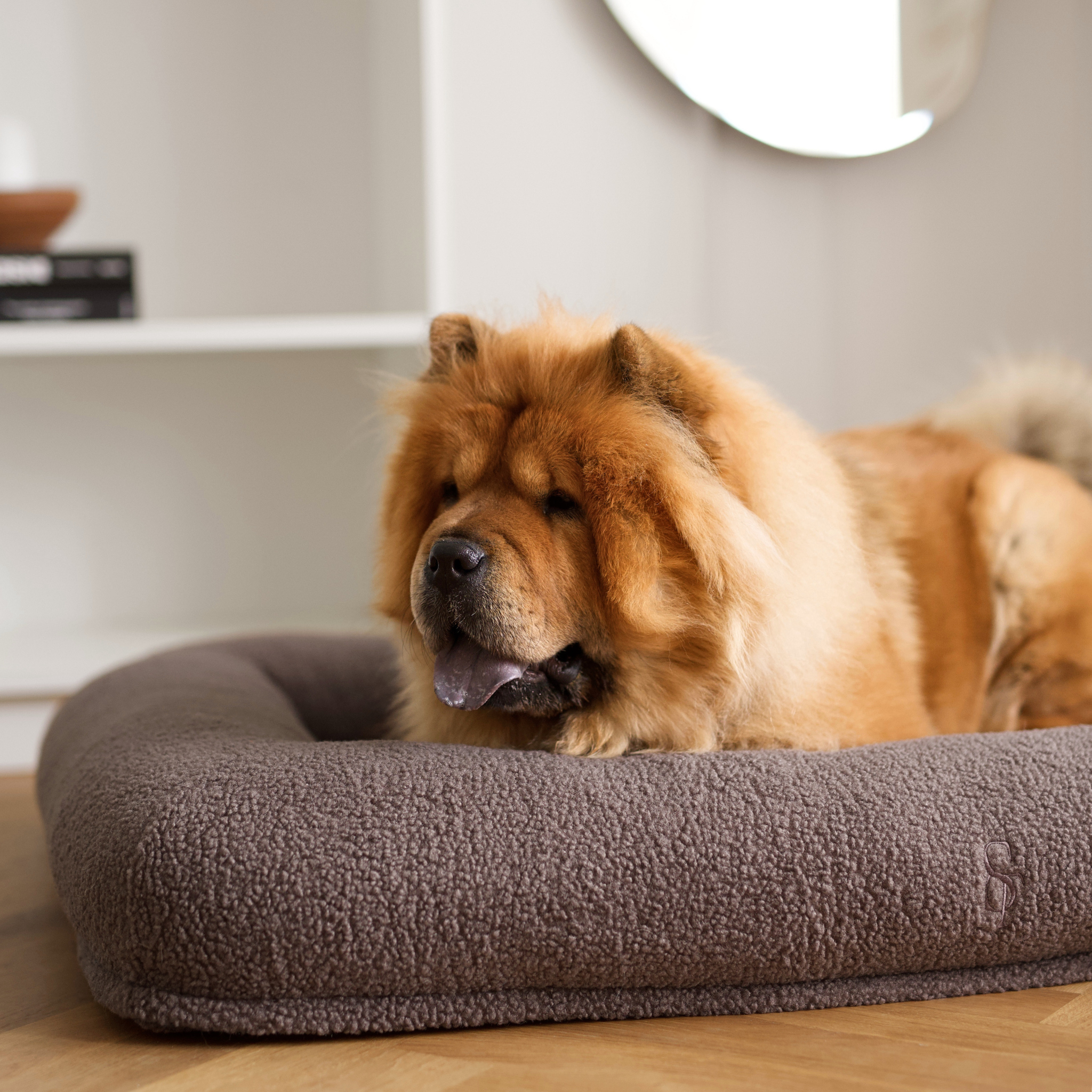 Lit orthopédique pour chien Clara | Limited Edition