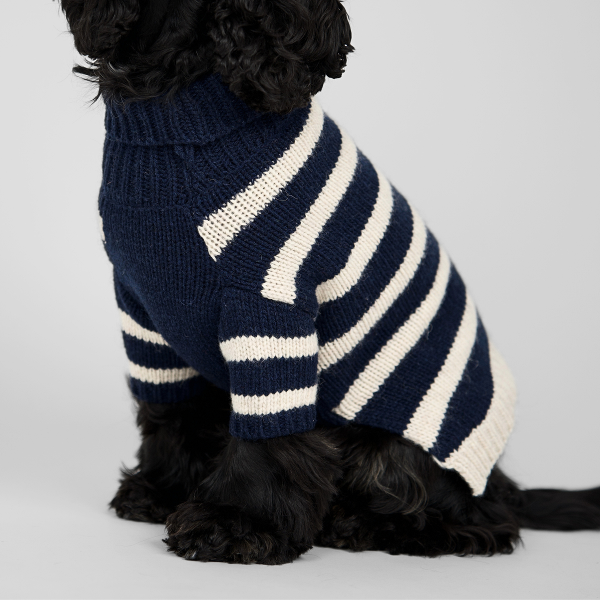 Pull pour chien Liva | Midnight/Oat