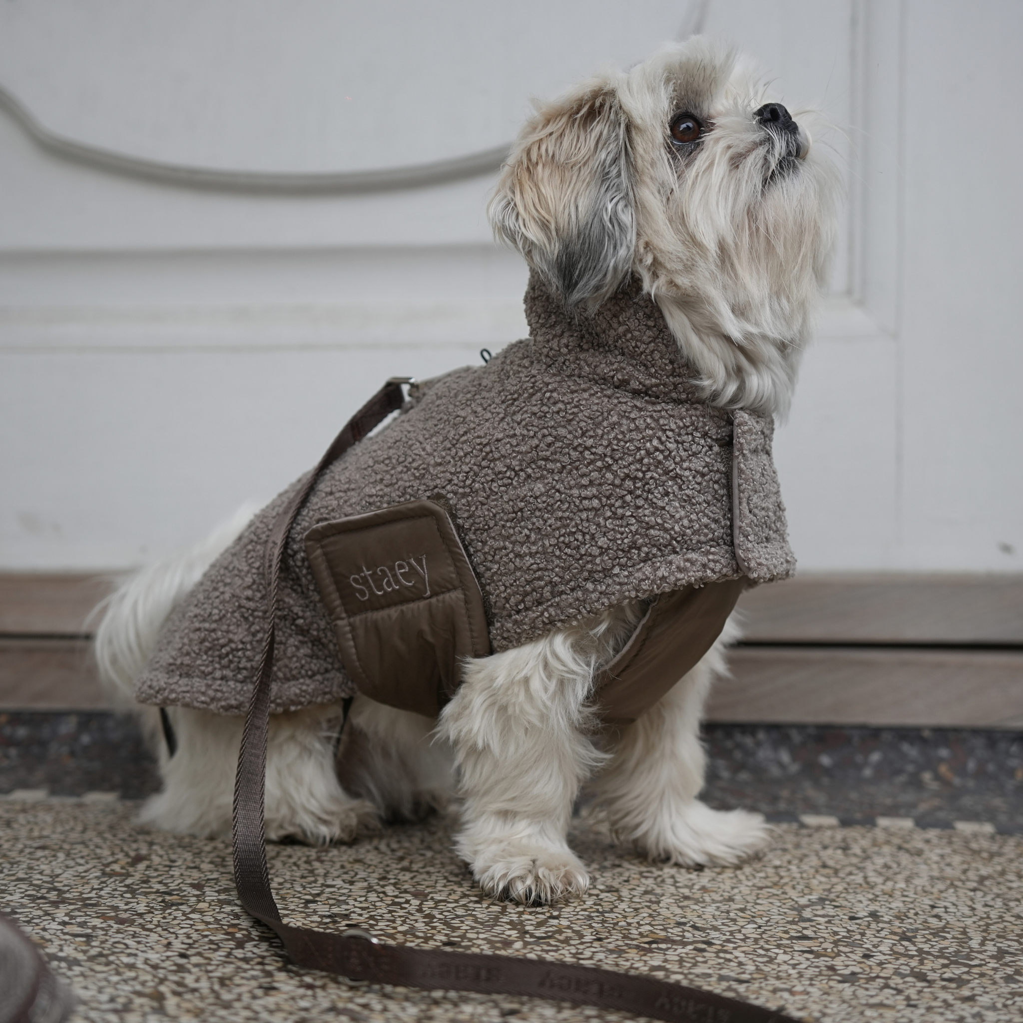Teddy Dog Coat | Taupe