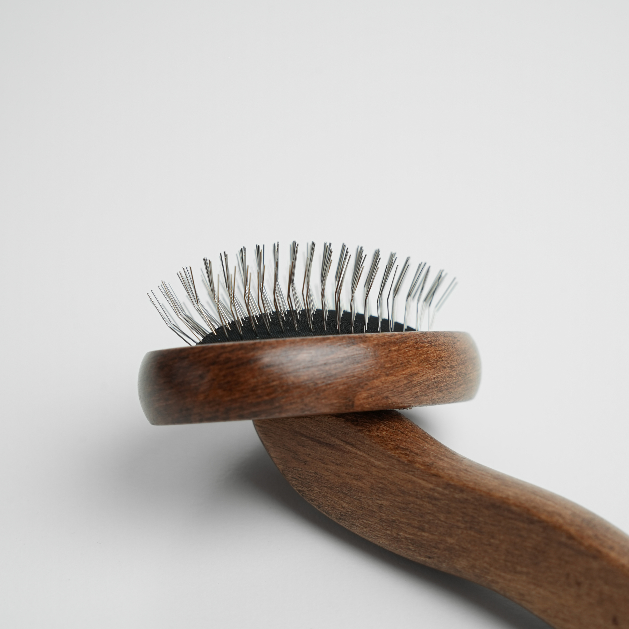 Wooden dog brush with metal bristles on a light gray background
