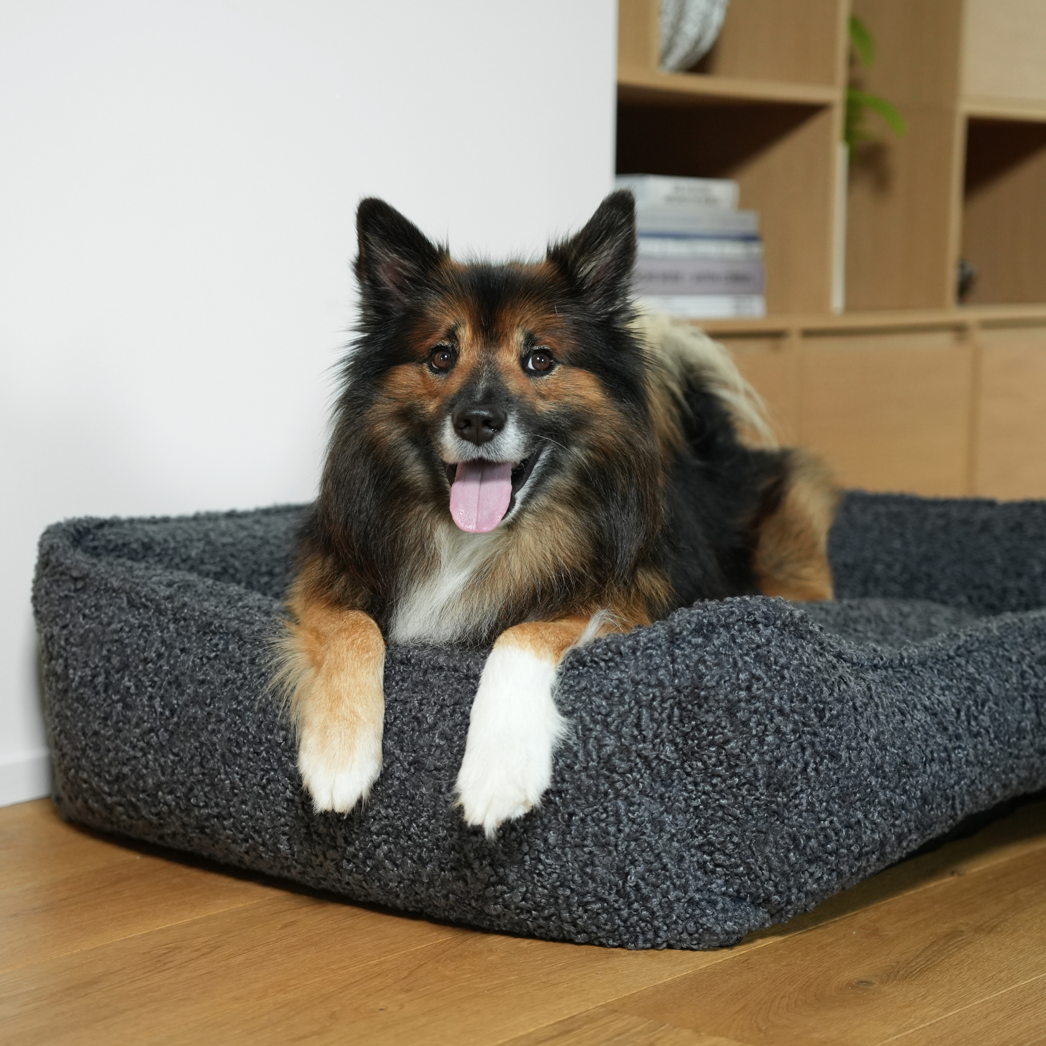 Tora Dog Bed | Storm Curly