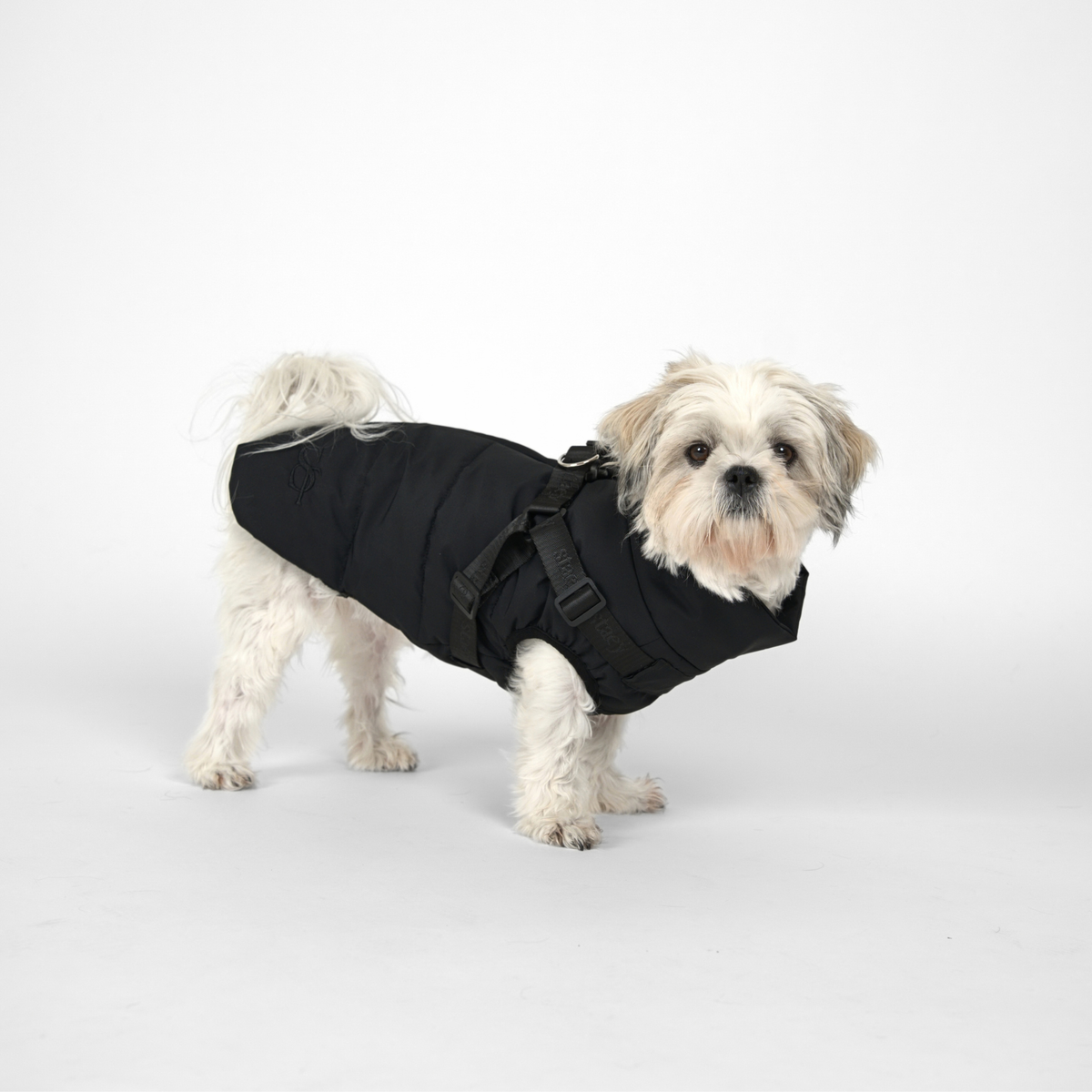 Vera Dog Coat w. Harness | Charcoal