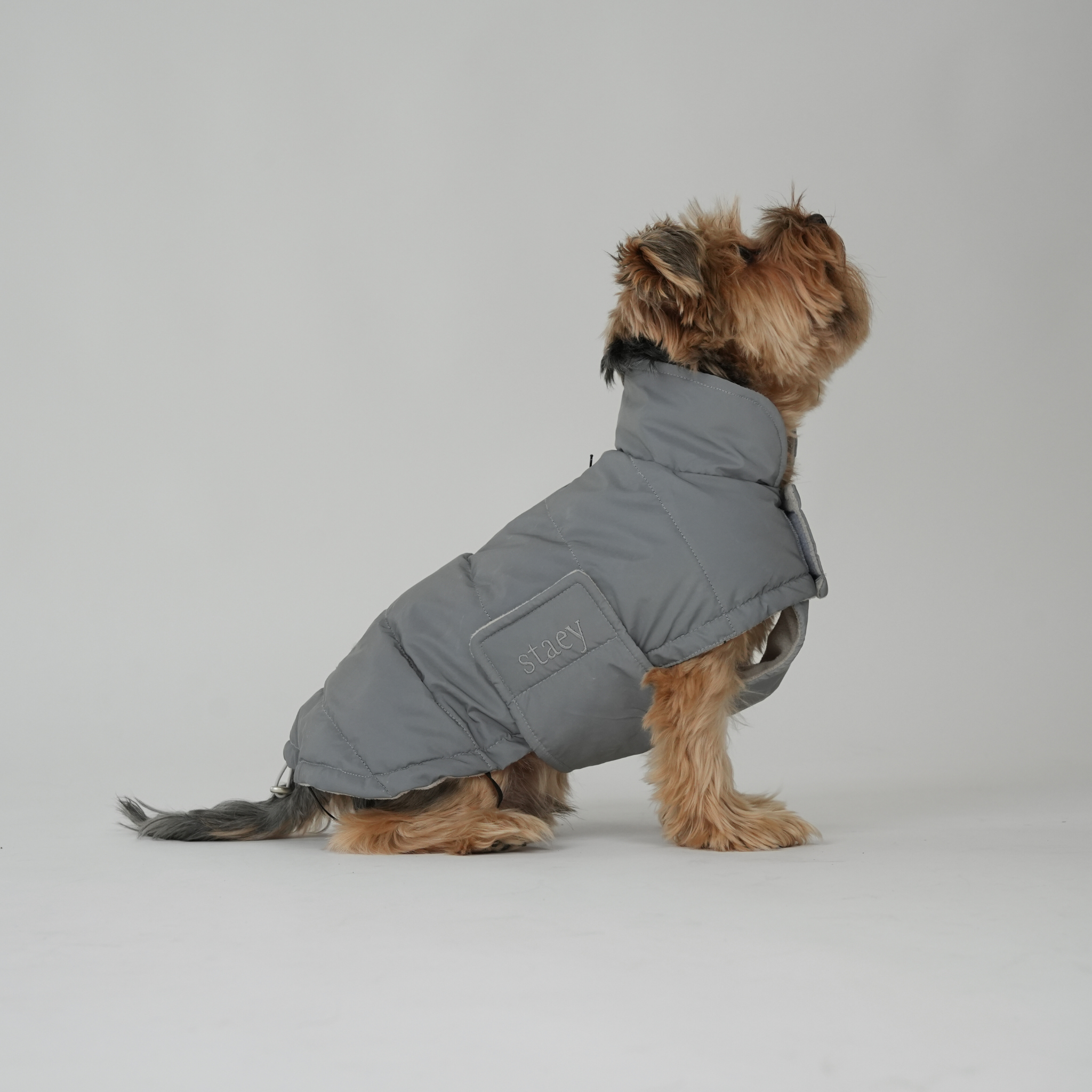 Nora Dog Coat | Reflective