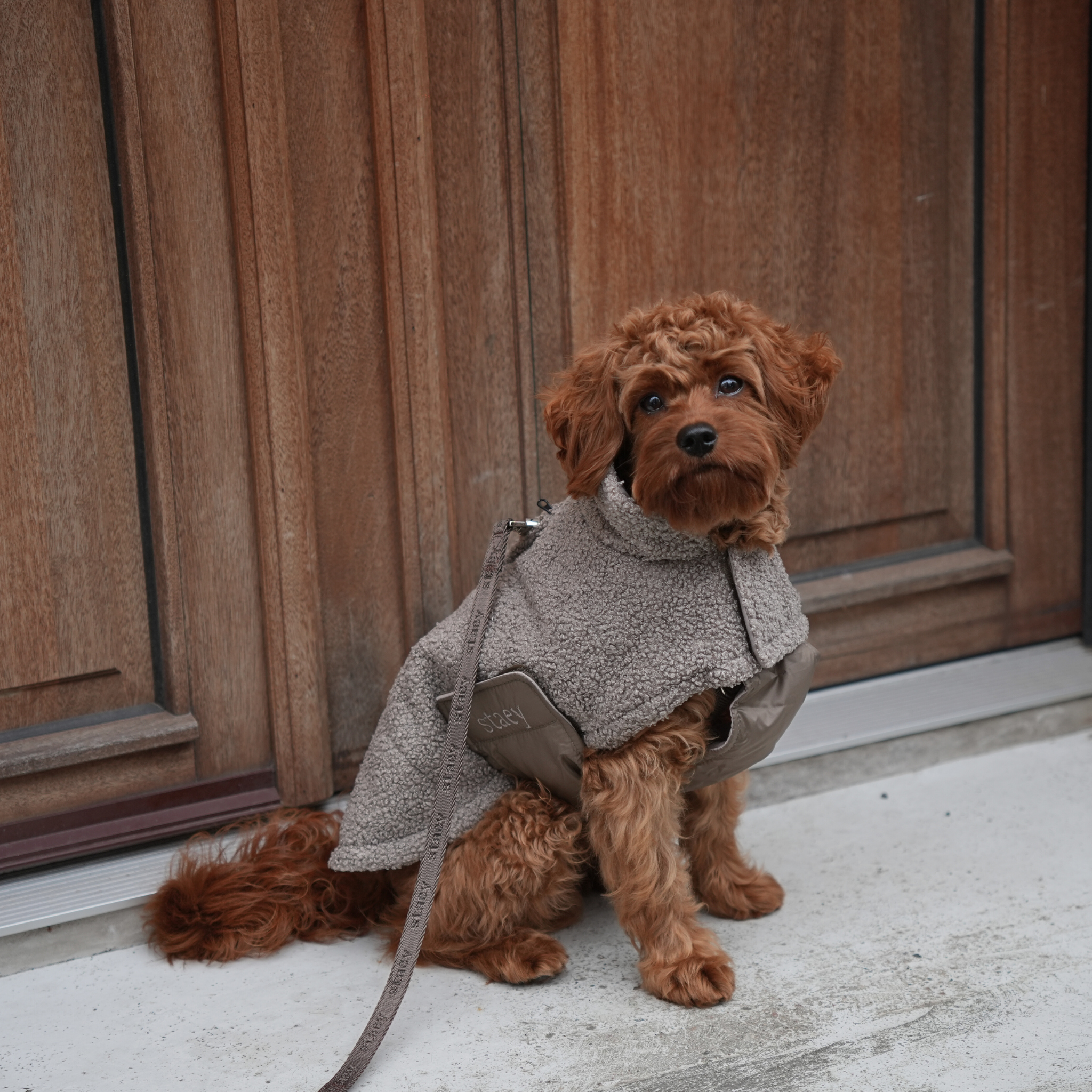 Teddy Dog Coat | Taupe