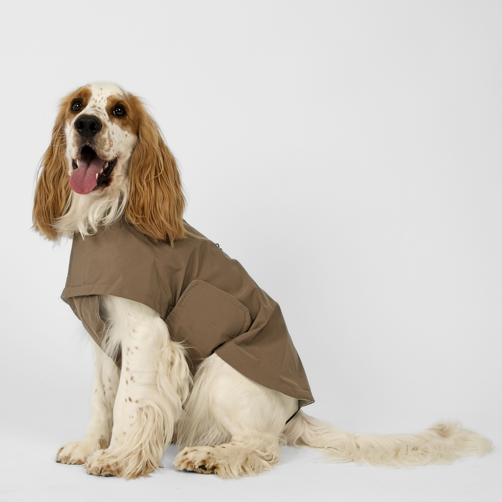 Imperméable pour chien Taja | Taupe