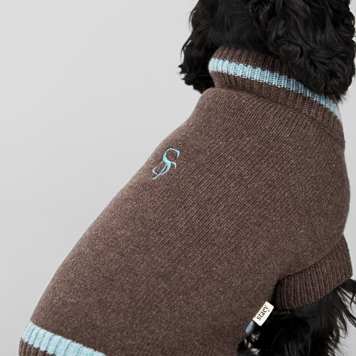 Pull pour chien Ellen | Espresso/Sky Blue