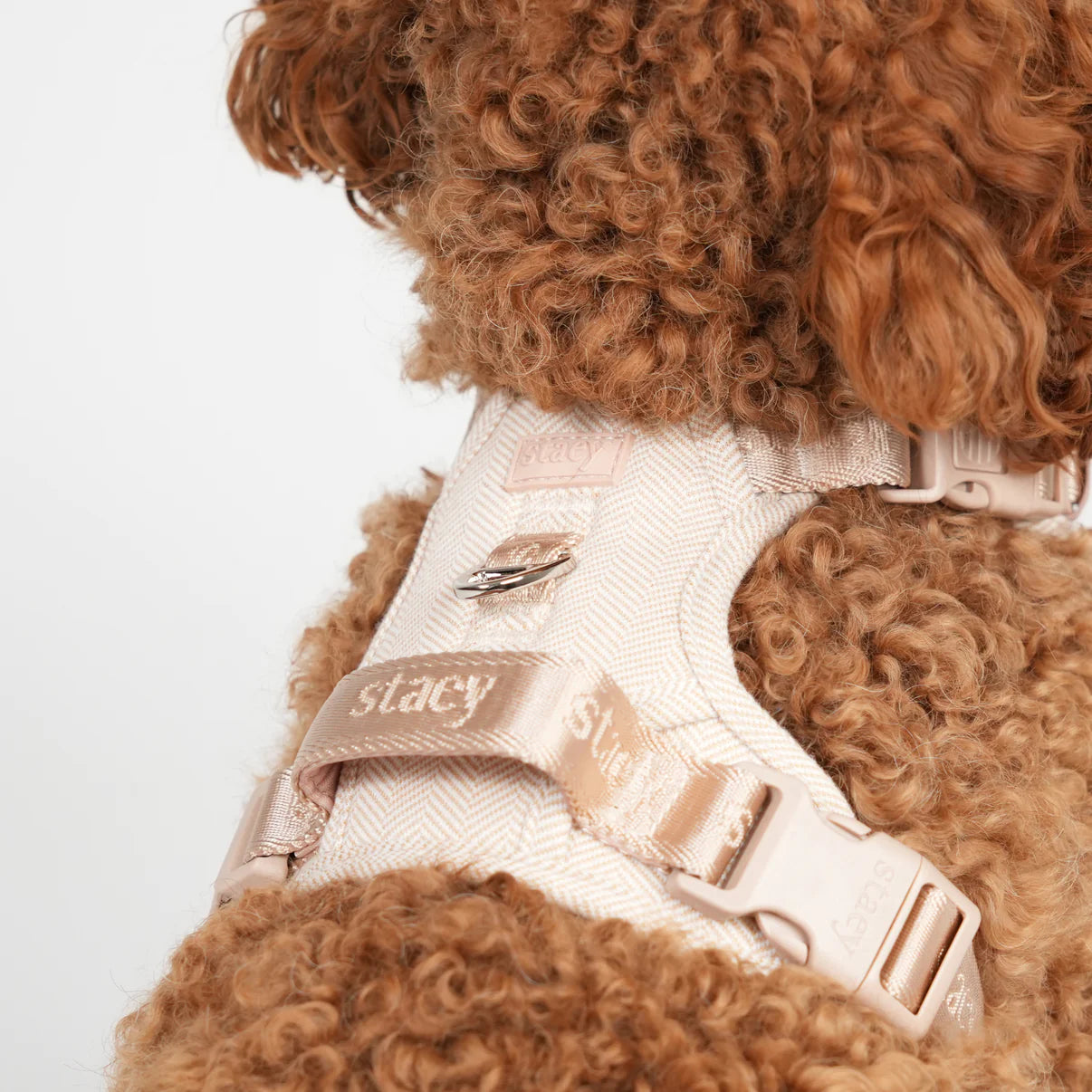 Elma Dog Harness | Light Rose