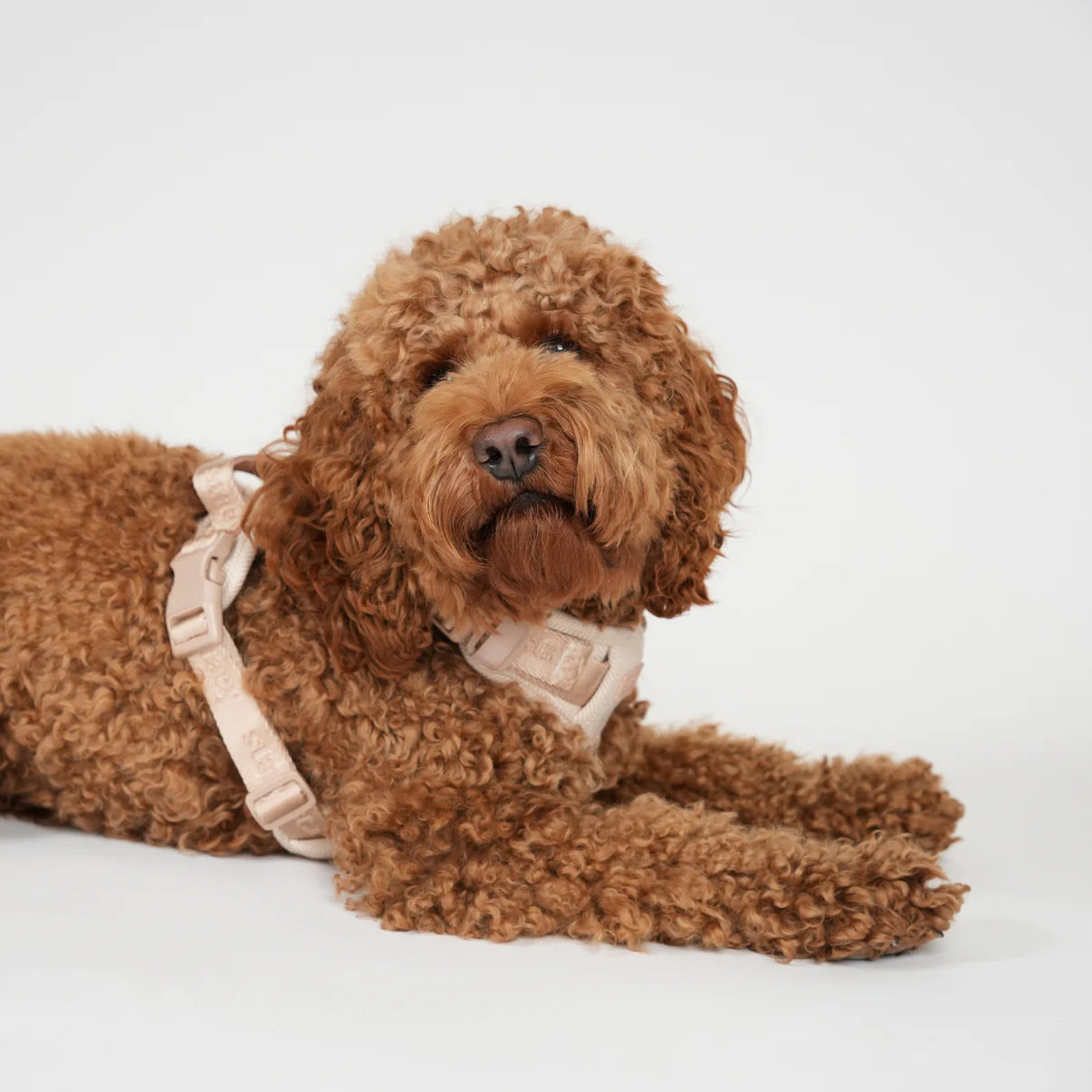 Elma Dog Harness | Light Rose