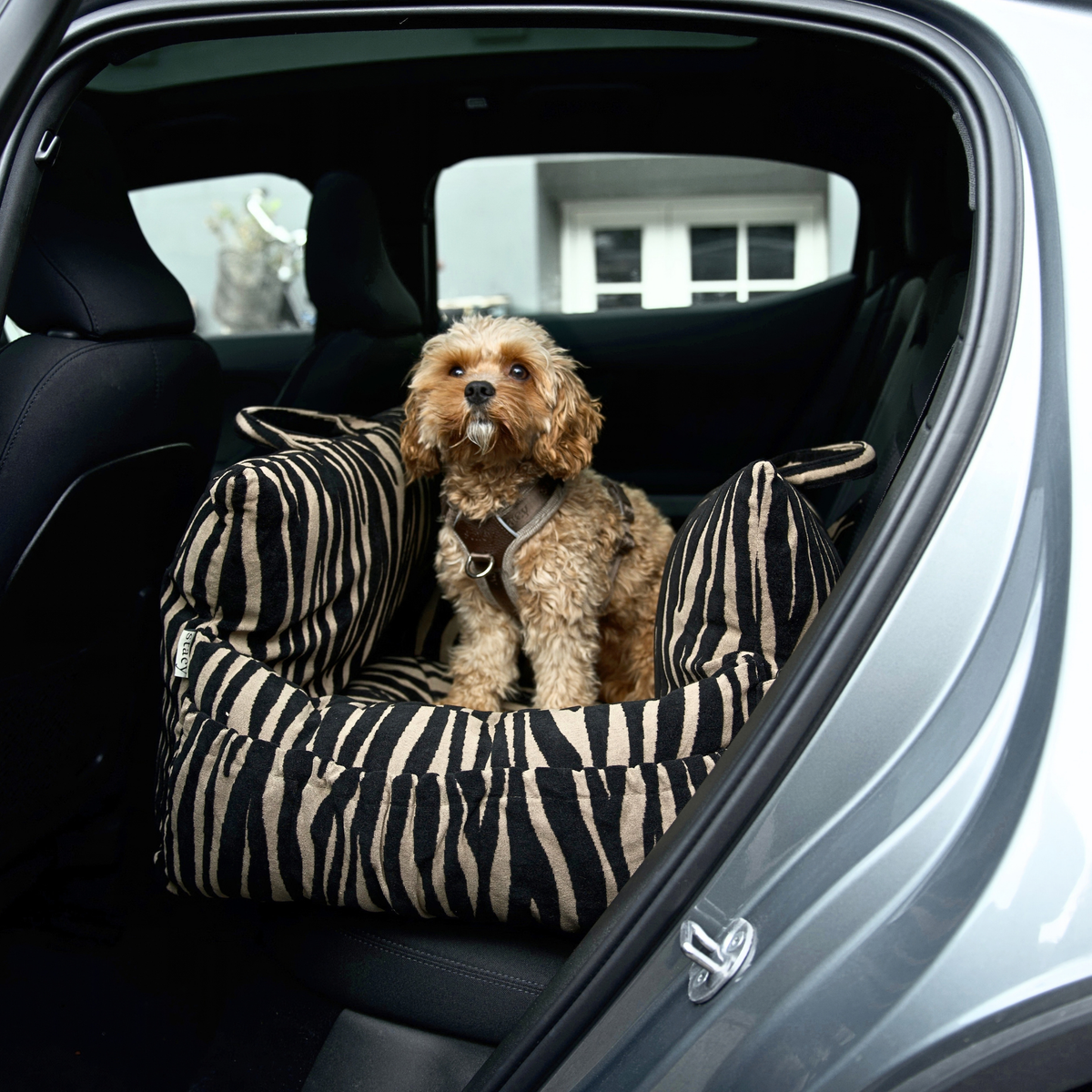 Lara Siège auto pour chien | Zebra 2.0