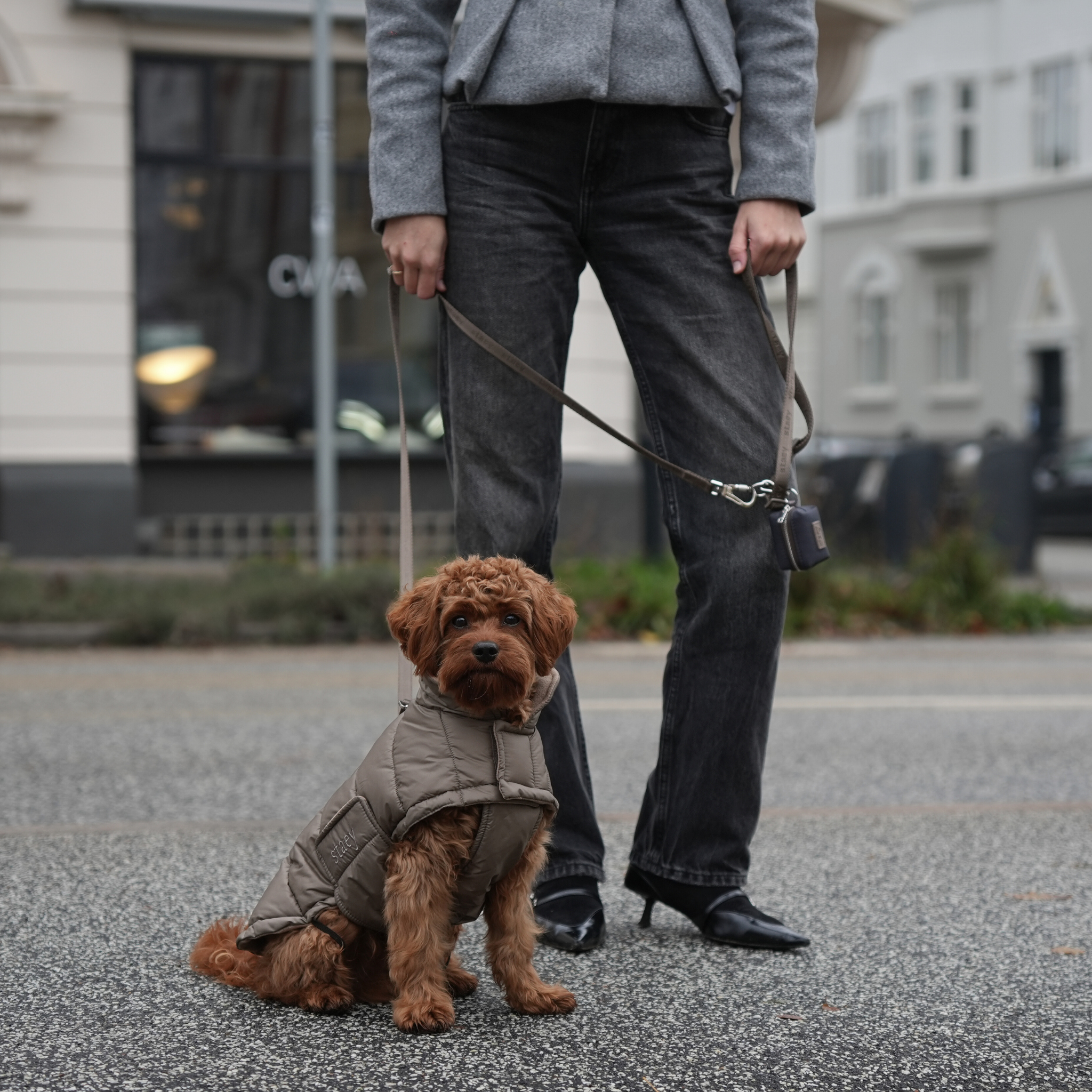 Manteau pour chien Nora | Taupe