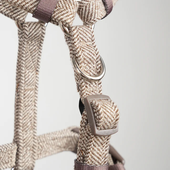 Tara H-Strap Dog Harness | Mocca