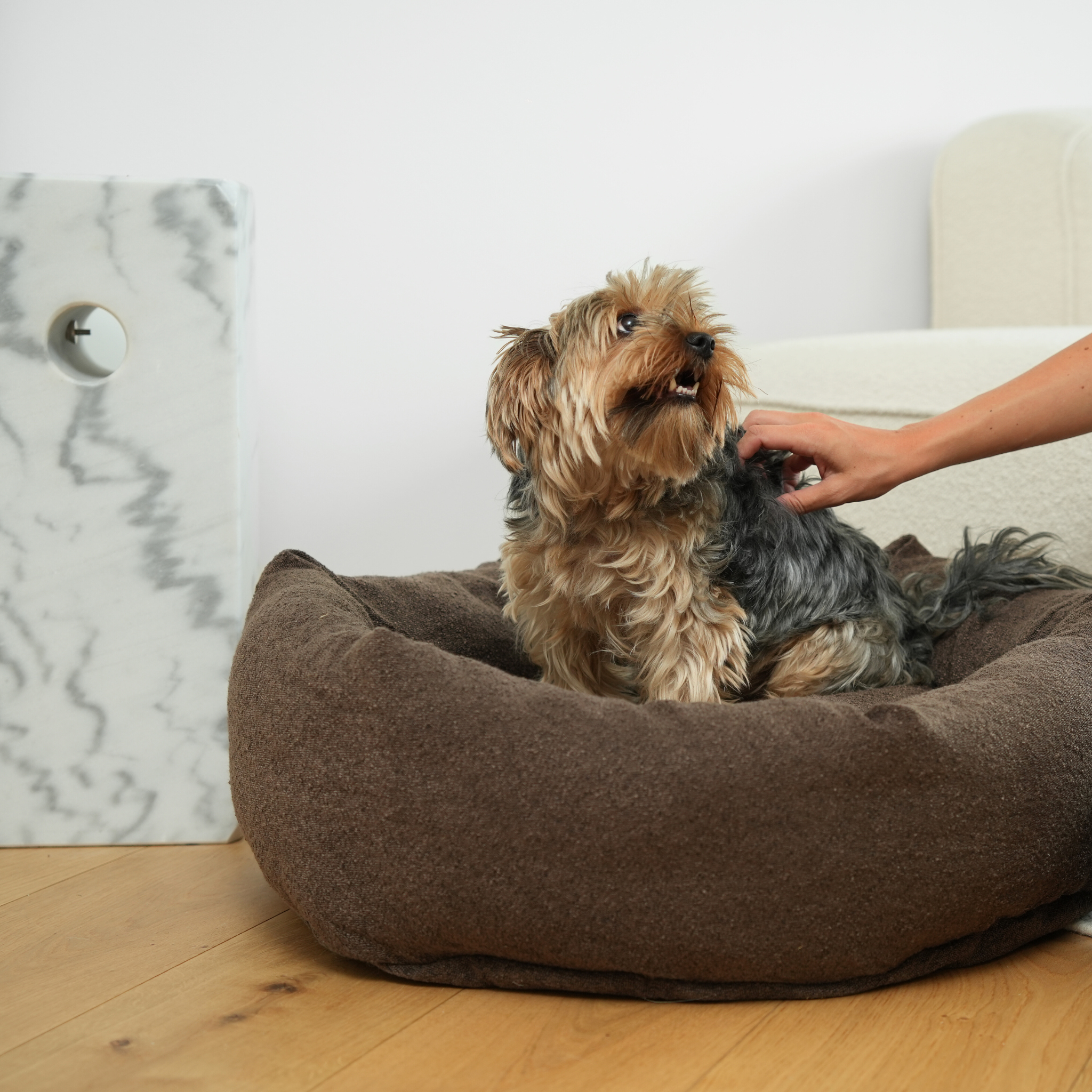 Luna Dog Bed 3.0 | Chestnut Bouclé