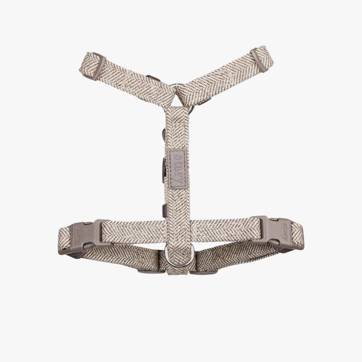 The mocca Tara H-strap harness laid out flat