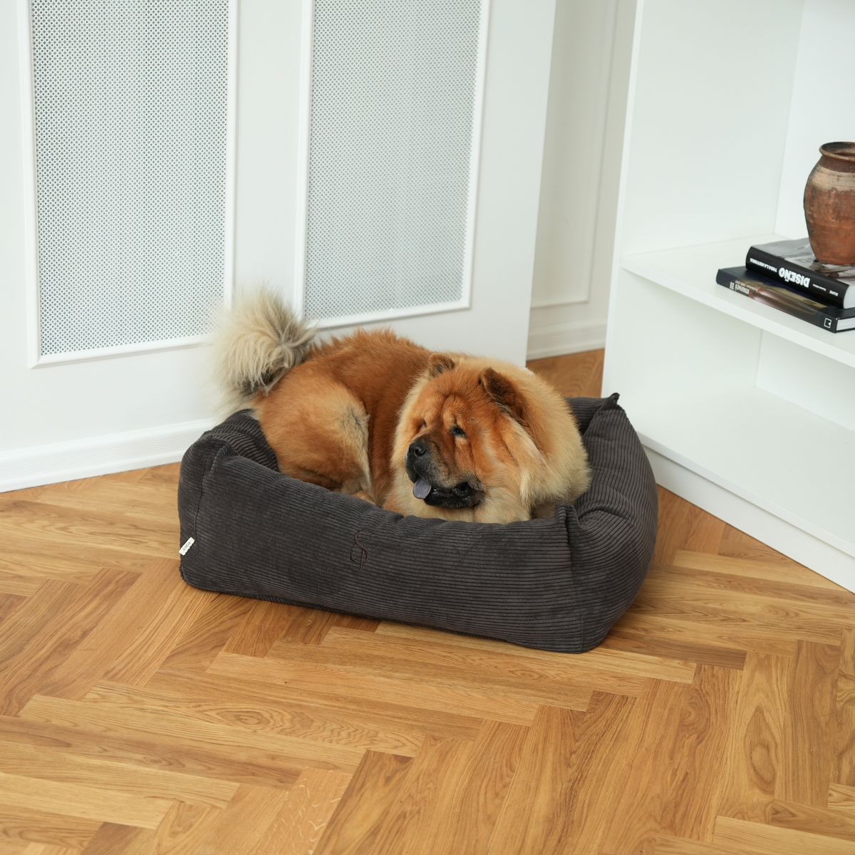 Chow chow lying in the dark oak corduroy Vera bed on parquet