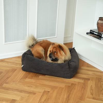 Chow-chow allongé dans le lit Vera Dark Oak Corduroy sur un parquet