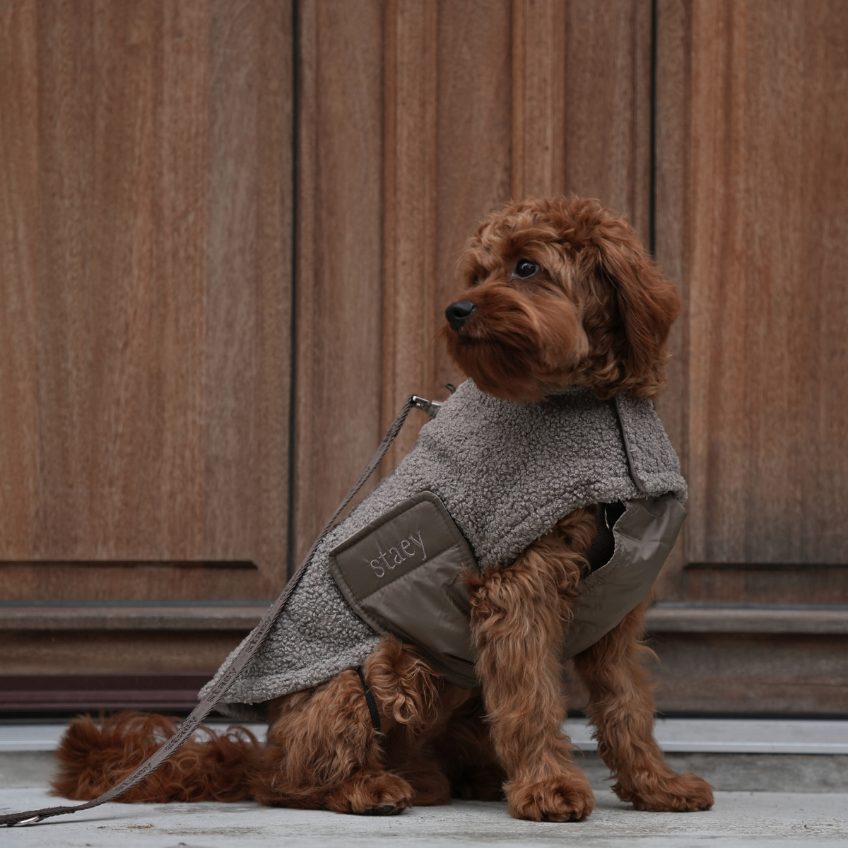 Cavapoo sitting in the taupe Teddy fleece coat on a doorstep