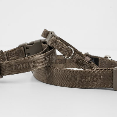 The taupe Elma strap collar coiled on a light background