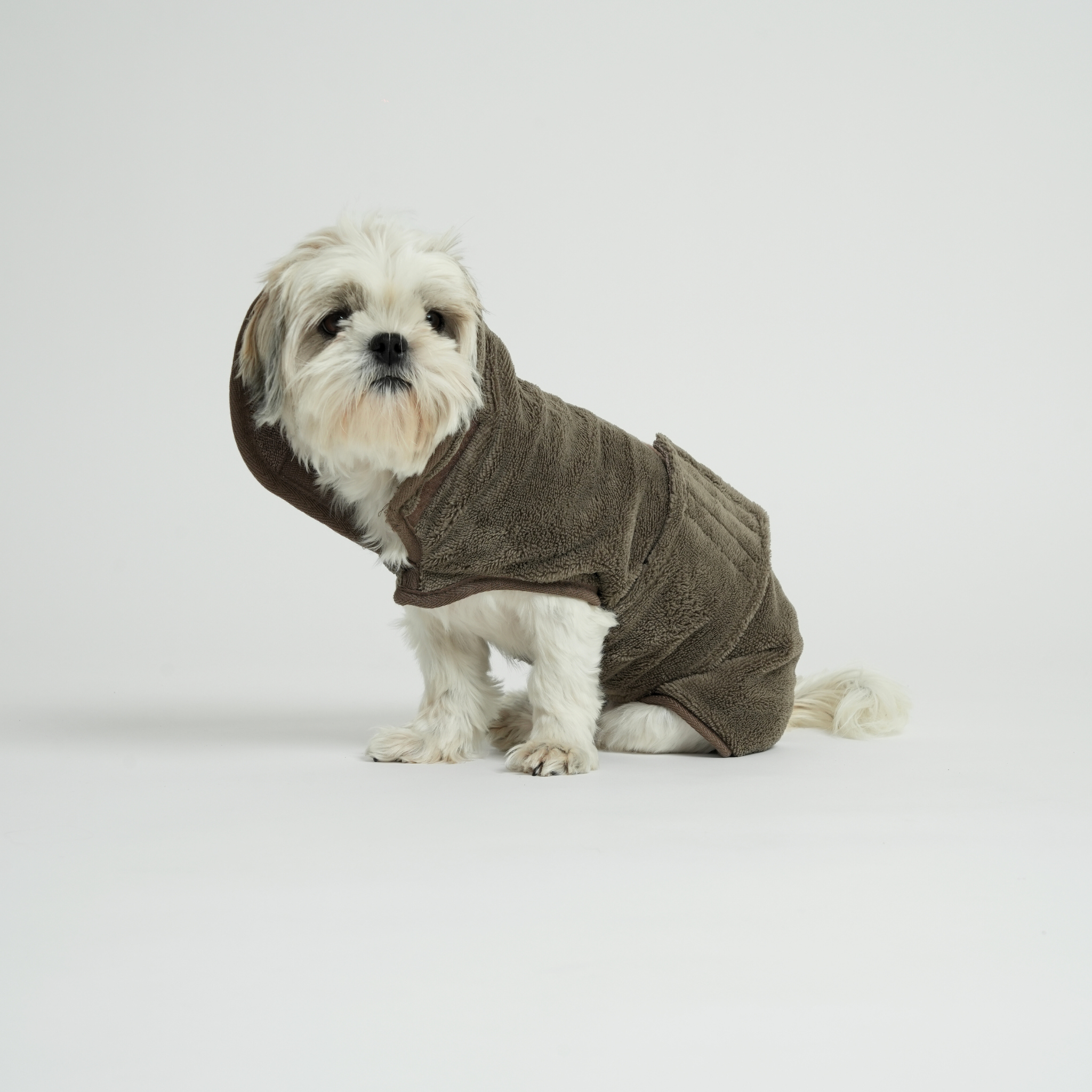 Petit chien portant une serviette en bambou sur fond blanc