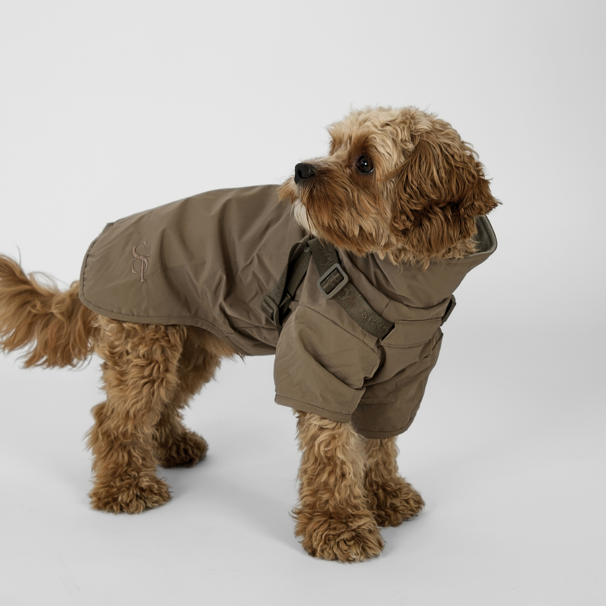 Imperméable doudoune harnais pour chien | Taupe