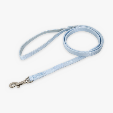Laisse à sangle pour chiot | Sky Blue