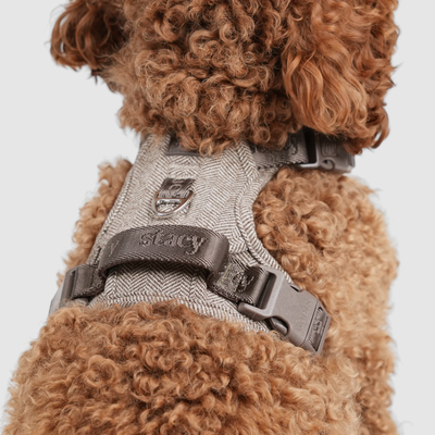 Dog Harness