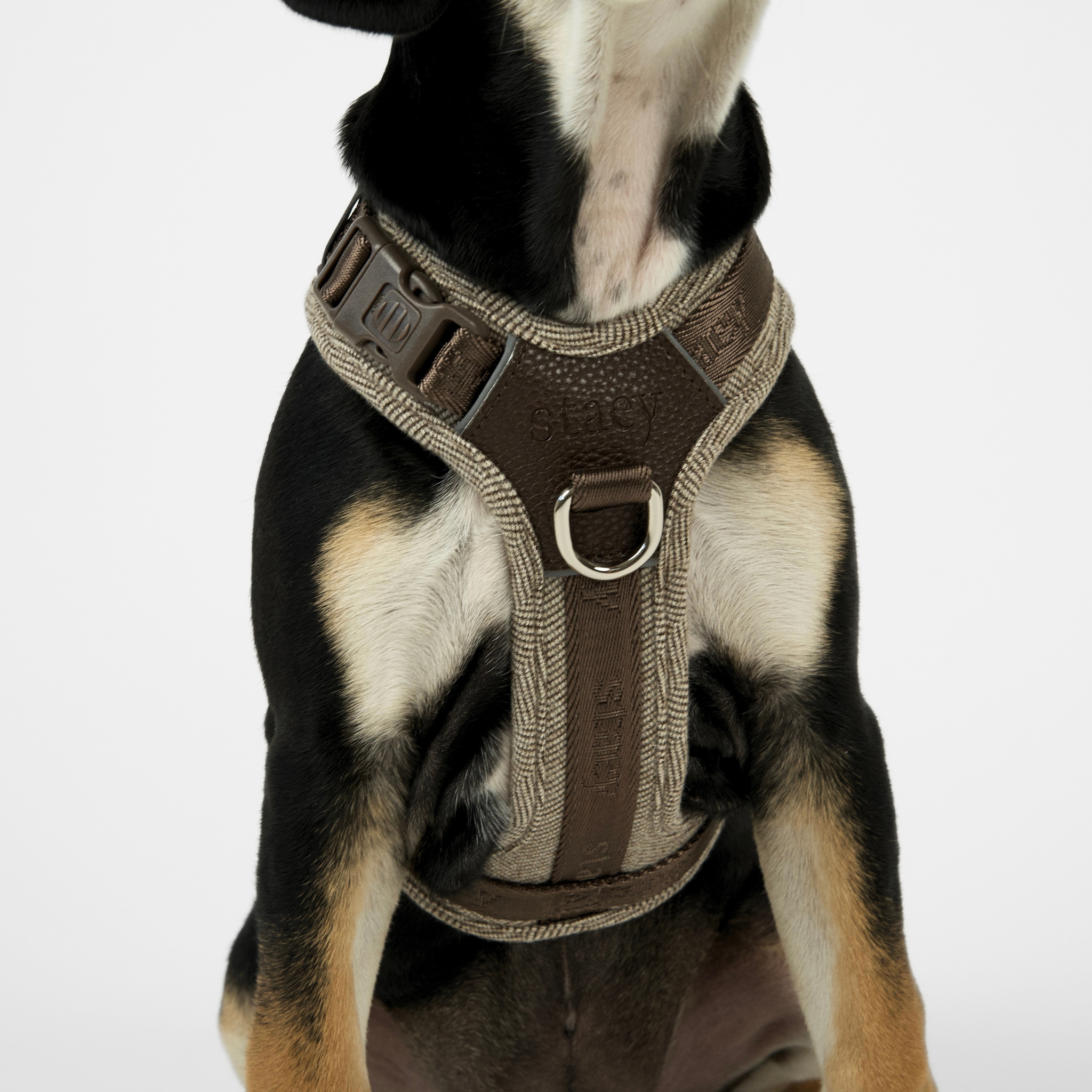 Harnais pour chien Numa | Mocca