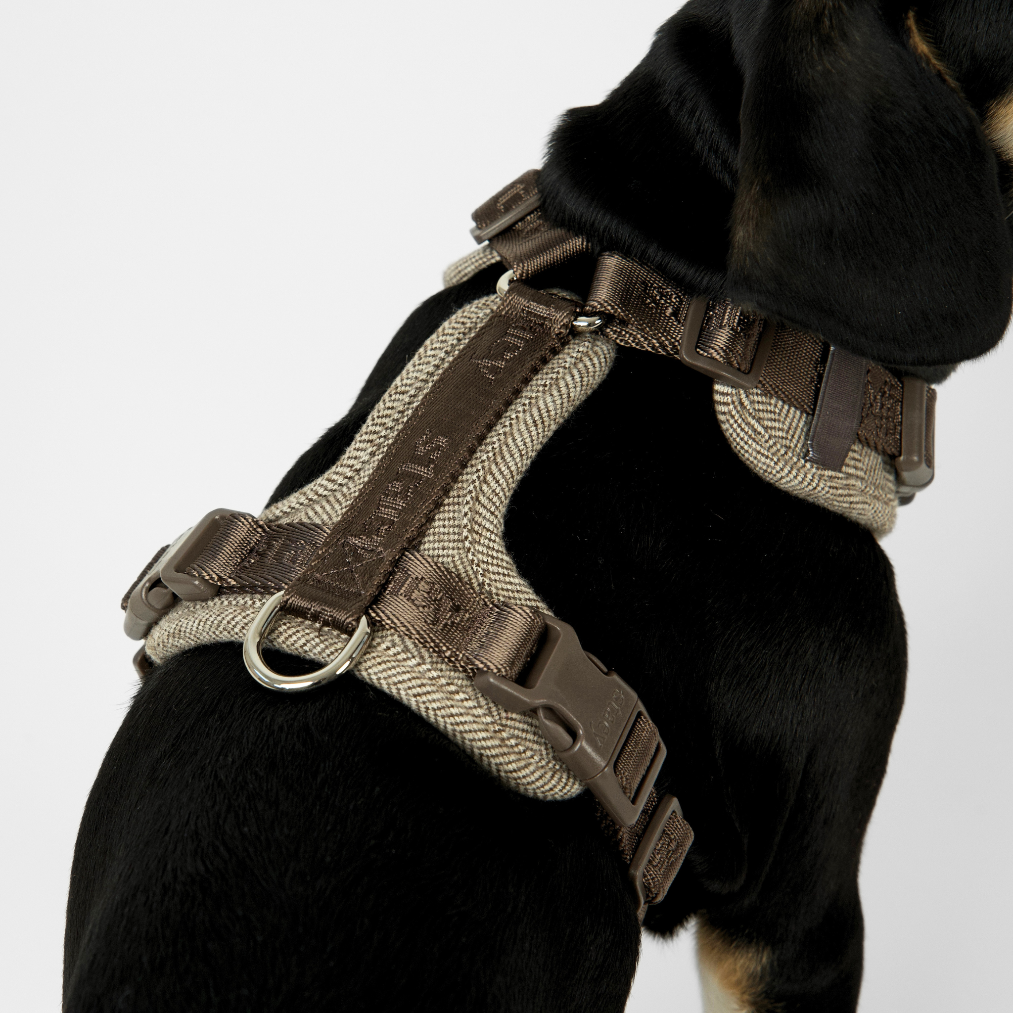 Harnais pour chien Numa | Mocca
