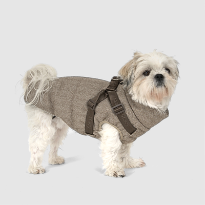 Dog Coats