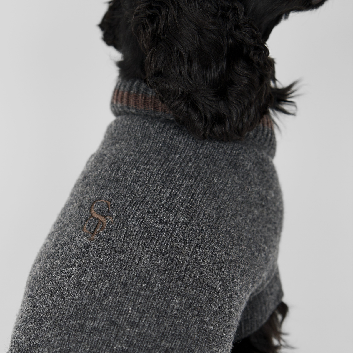 Pull pour chien Ellen | Storm/Espresso