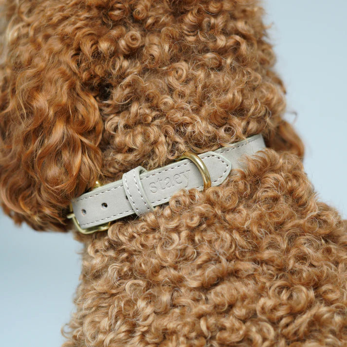 Collier pour chien en cuir Grace | Nature