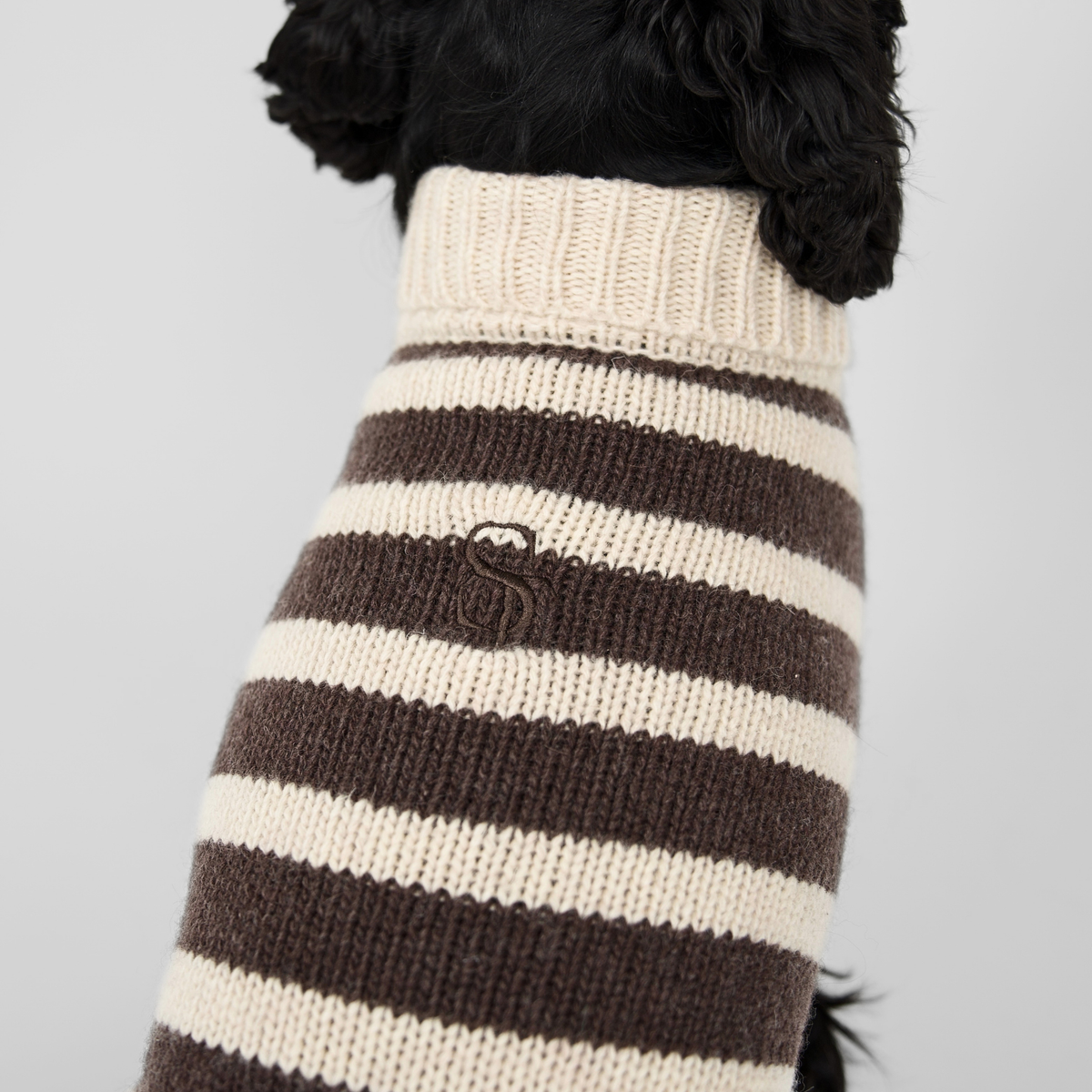 Pull pour chien Liva | Oat/Espresso
