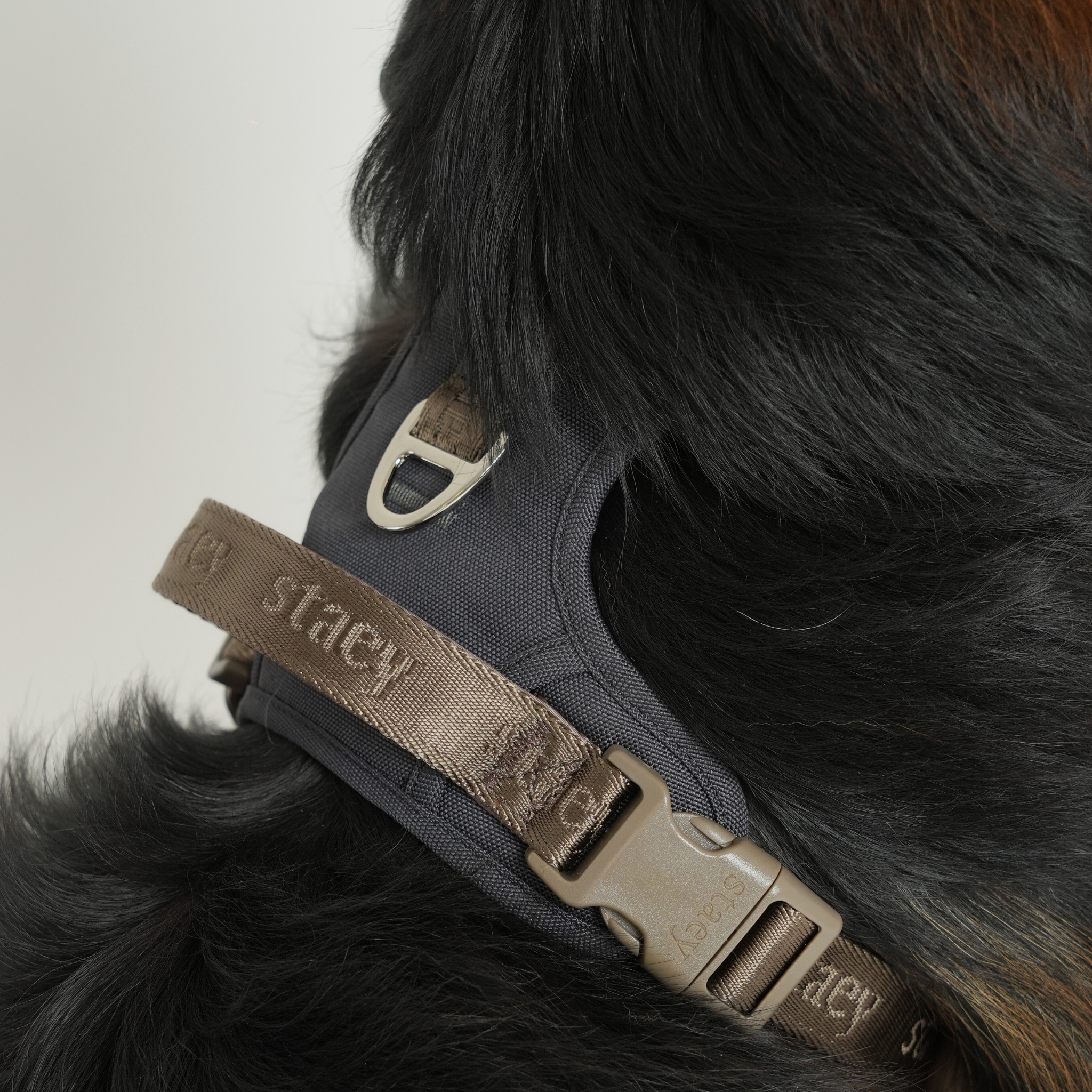 Harnais pour chien Elma Active | Storm