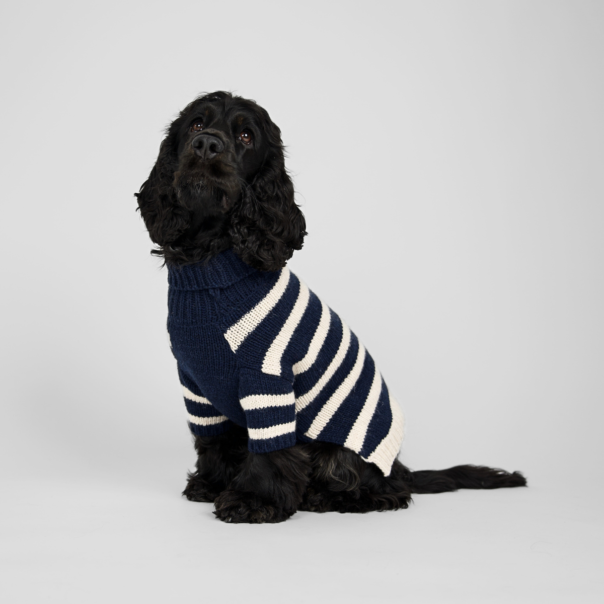 Pull pour chien Liva | Midnight/Oat