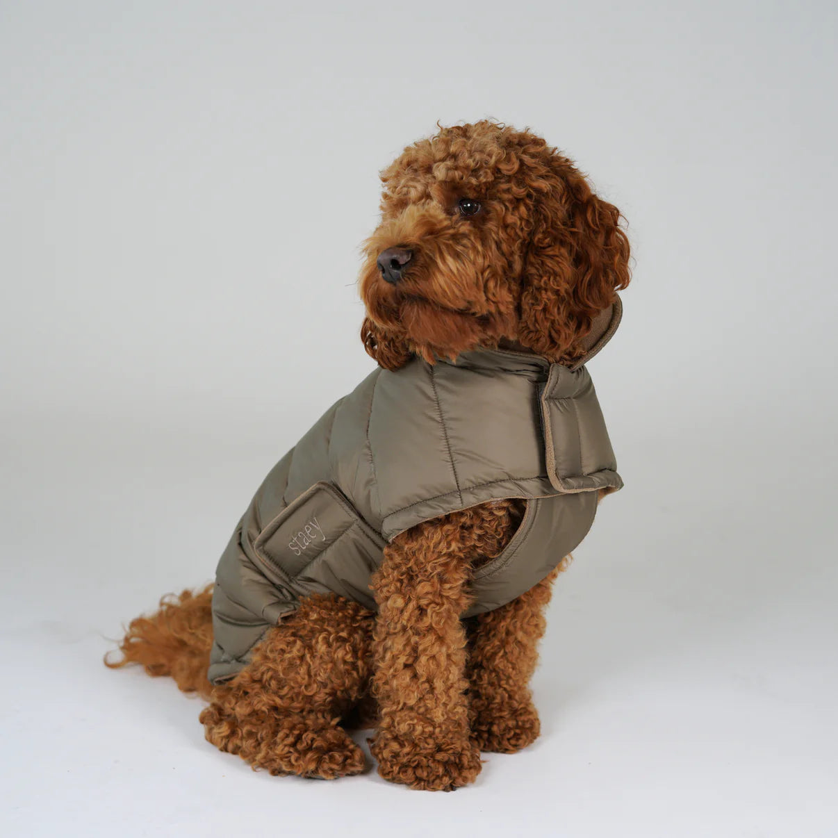Nora Dog Coat | Taupe