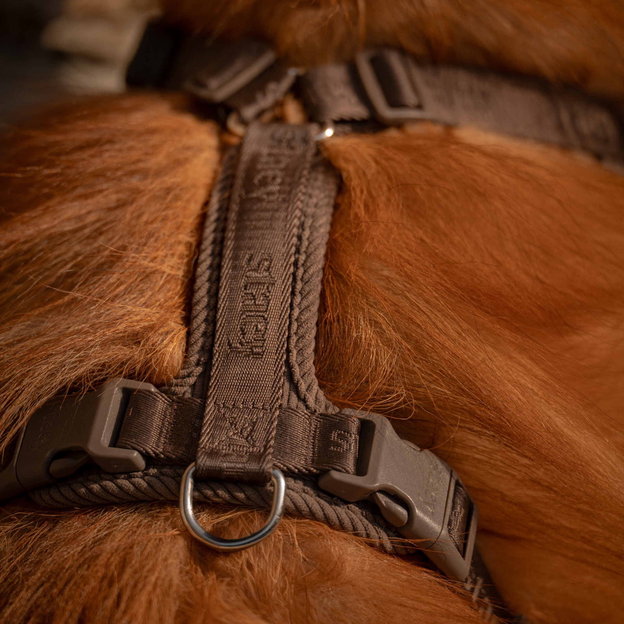 Harnais pour chien Numa | Dark Oak