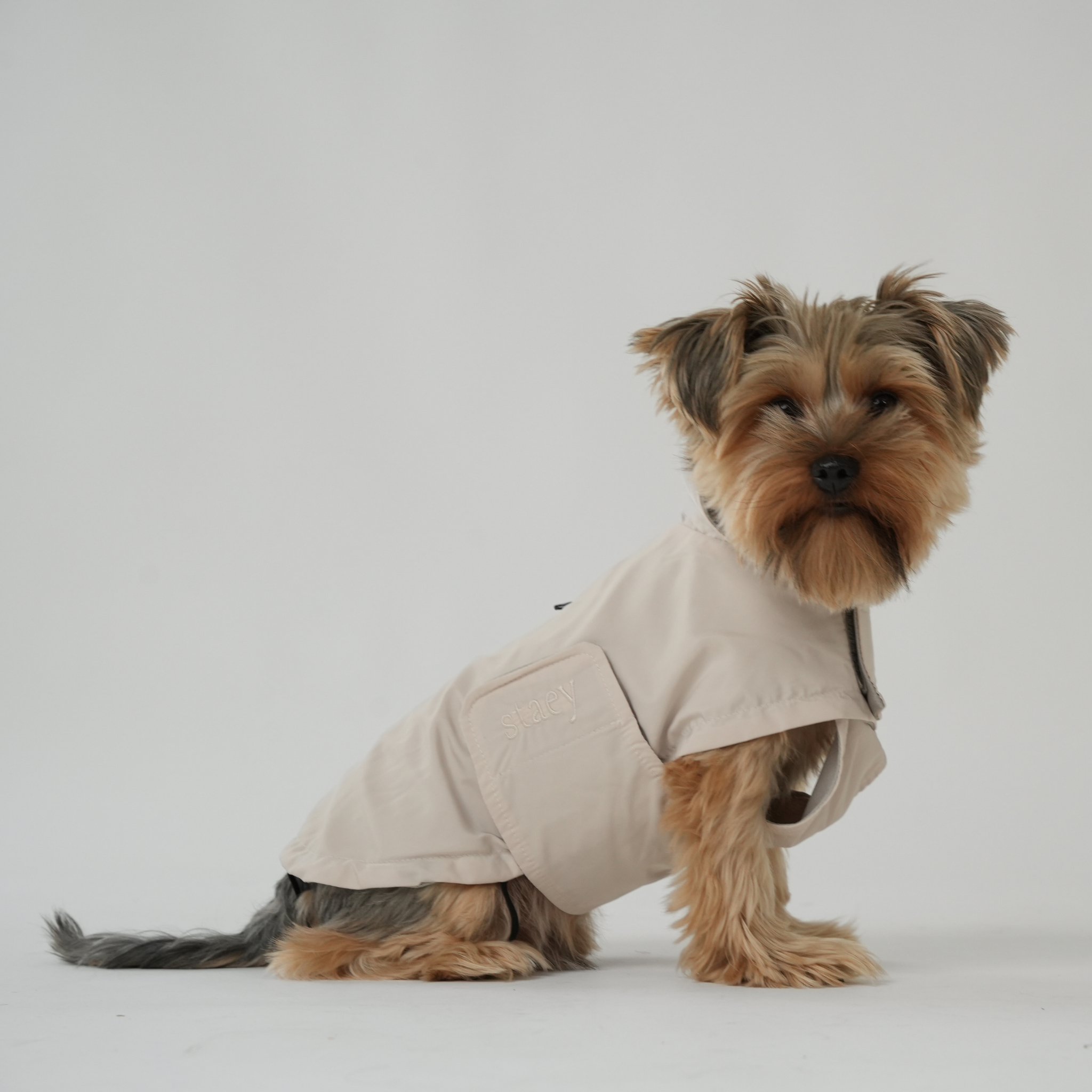 Vega Dog Raincoat | Nature
