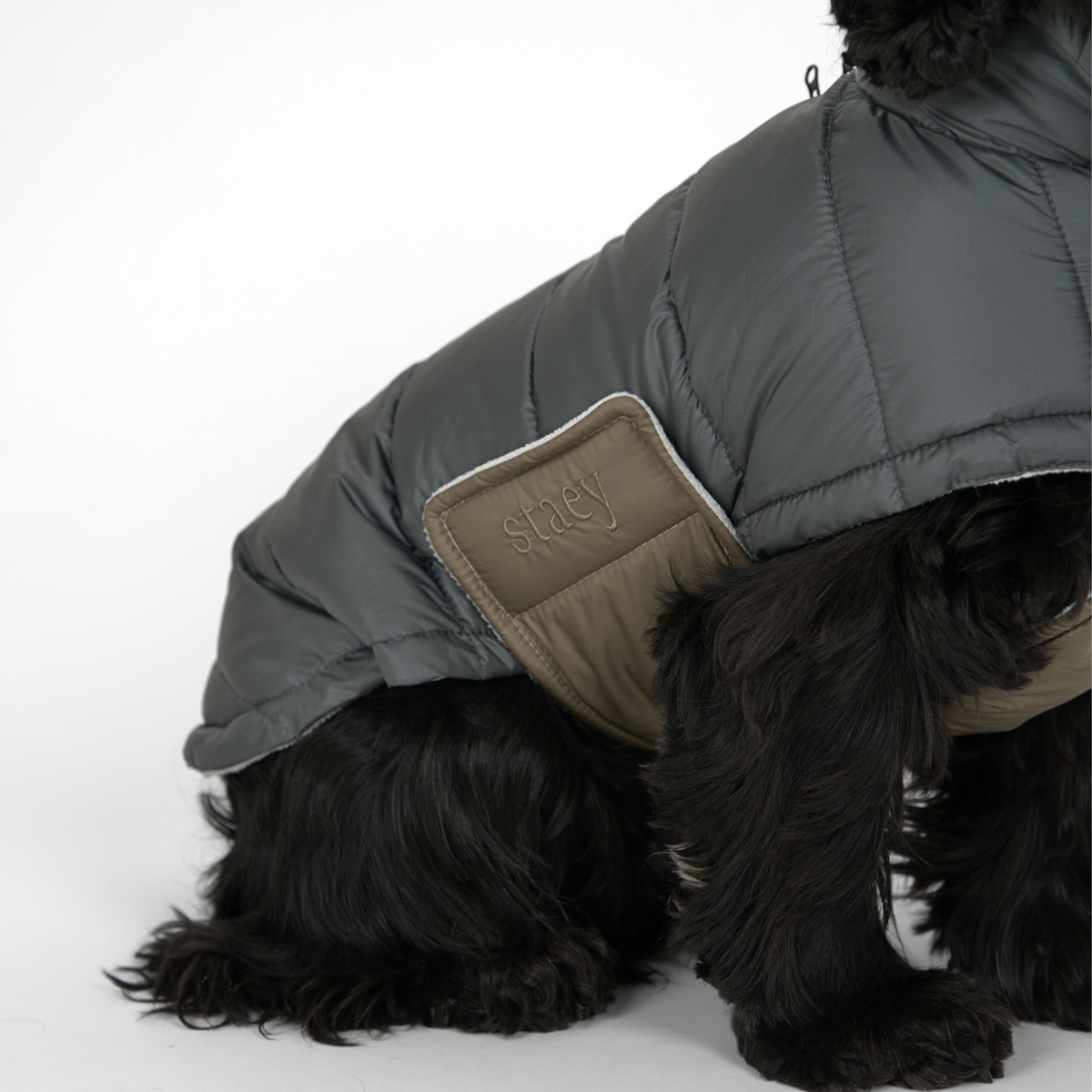 Manteau pour chien Nora | Storm