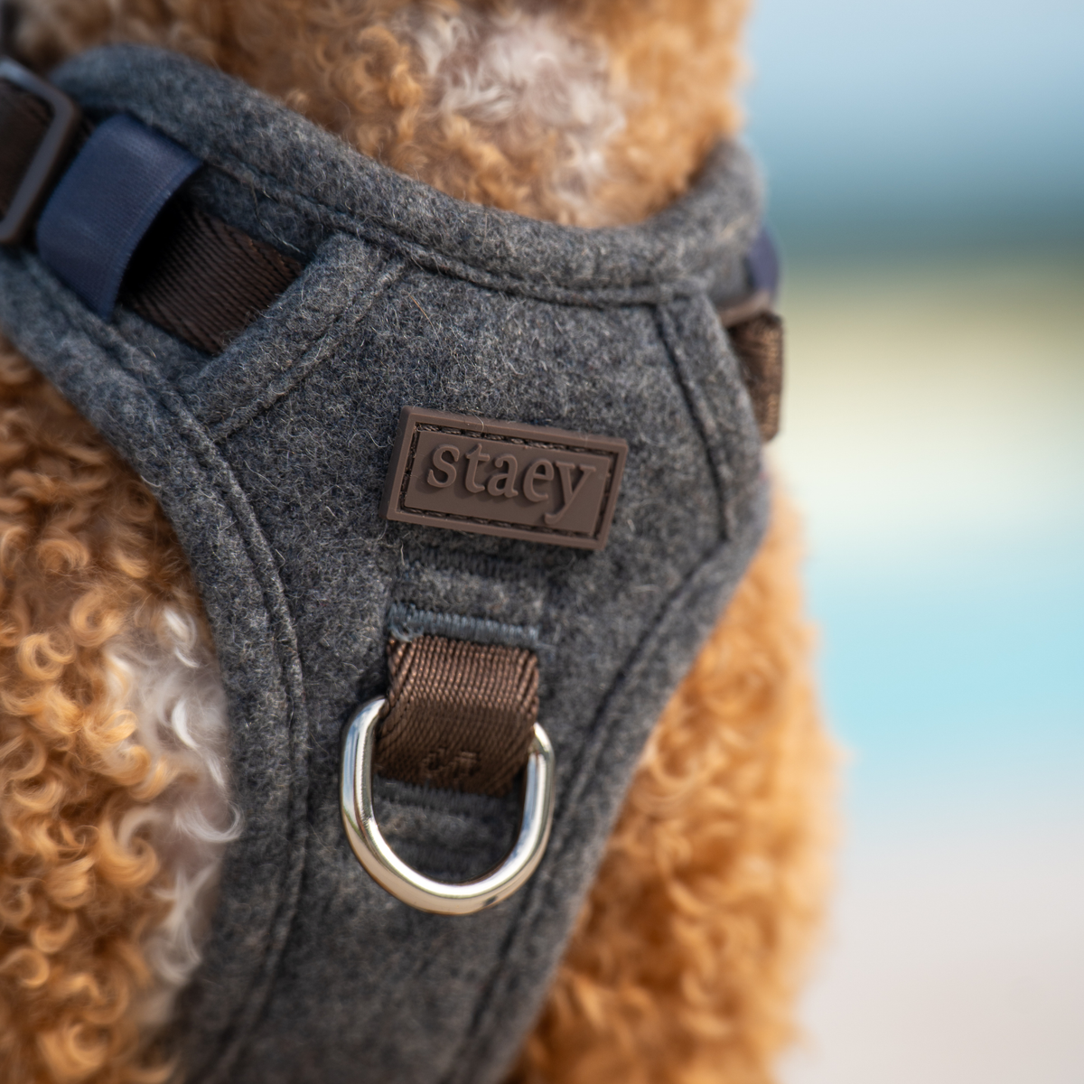 Close-up of the stone Elma harness and D-ring on an apricot poodle