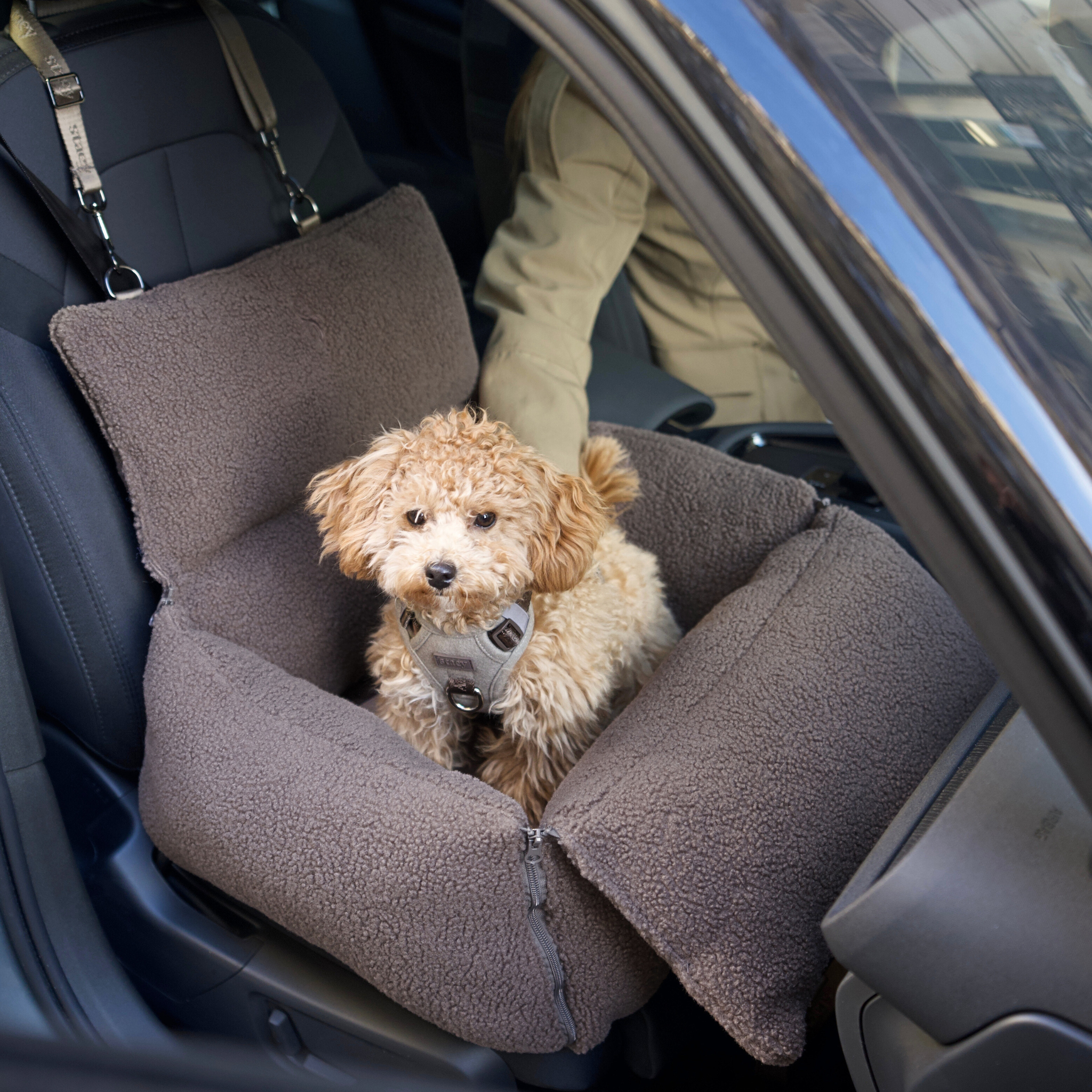 Siège auto pour chien Clara | Limited Edition