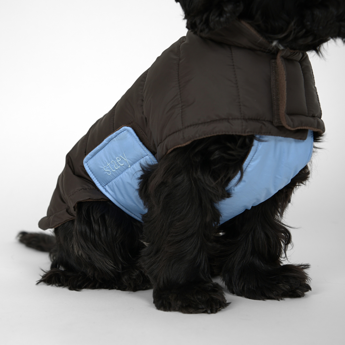 Manteau pour chien Nora | Espresso/Sky Blue