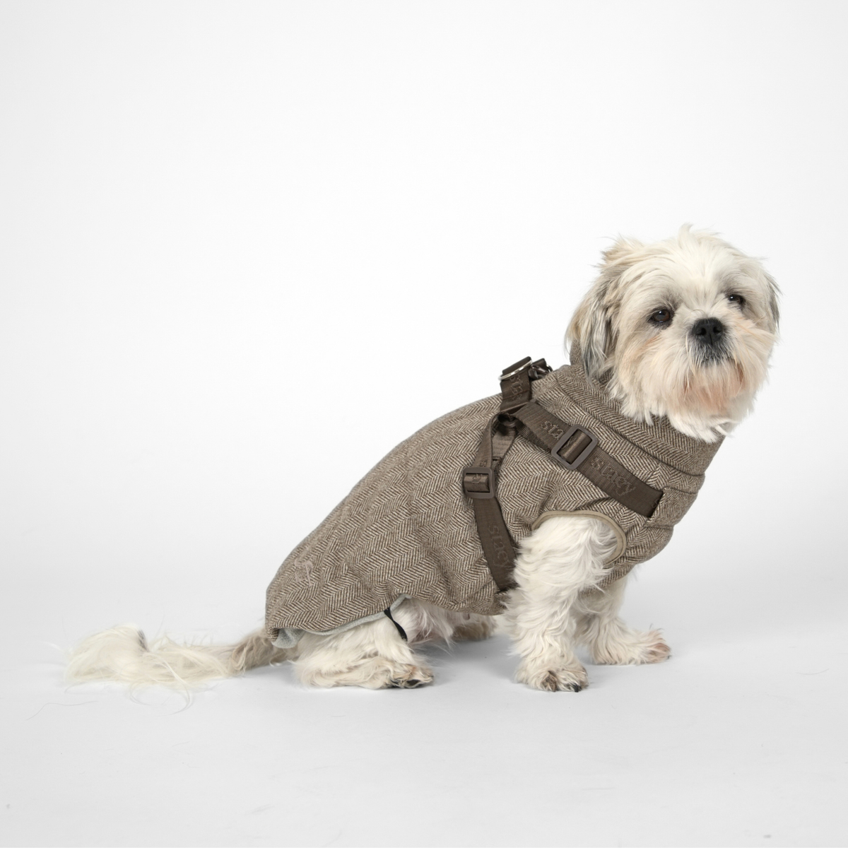 Vera Dog Coat w. Harness | Herringbone Mocca