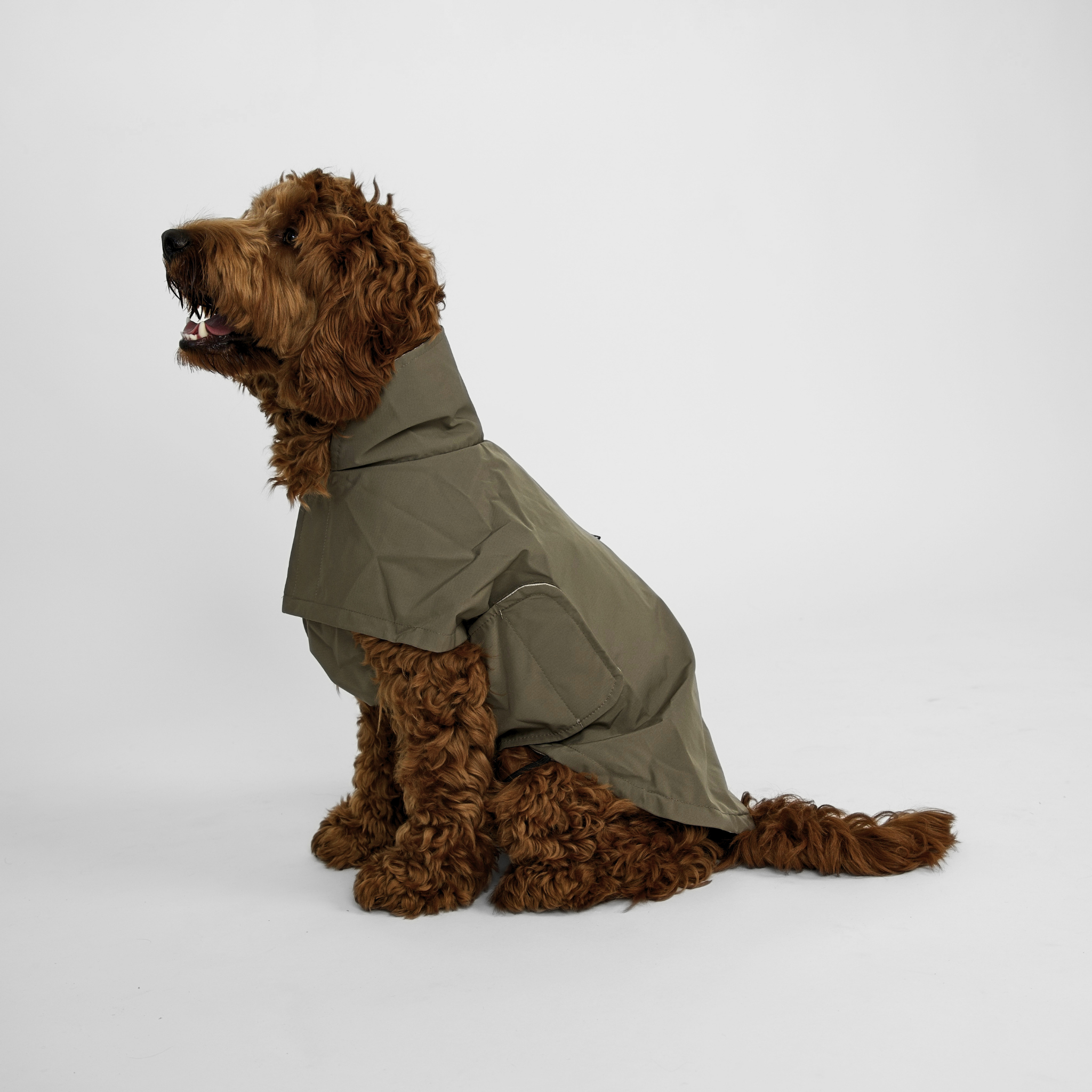 Imperméable pour chien Taja | Moss green