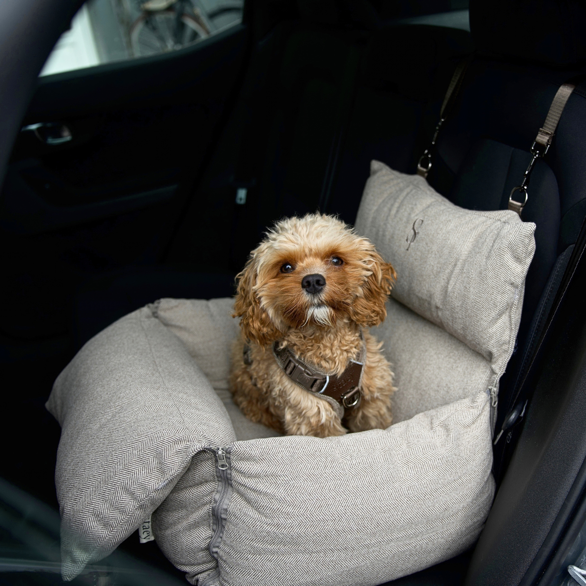 Siège auto pour chien 3-en-1 Thea | Herringbone Mocca